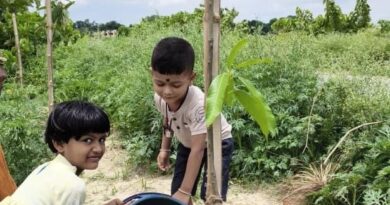 बेटाक जन्मदिन पर केक कटबाक बजाय गाछ रोपि देलनि बहुमूल्य संदेश